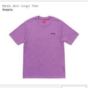 ❌⭕️SOLD ❌⭕️Mesh Arc Logo Tee
